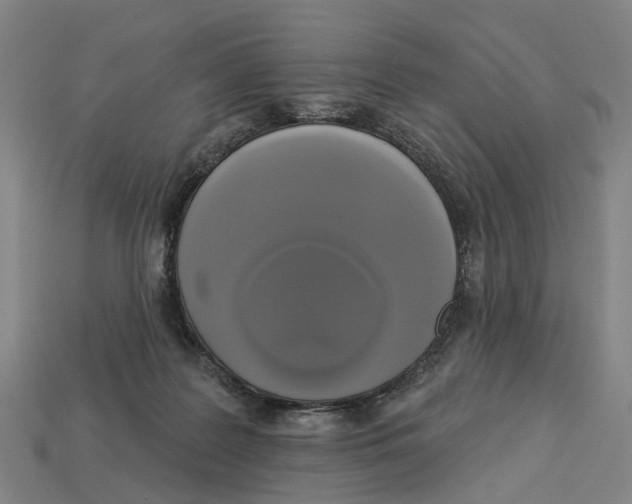 X0000113080219200909250956
