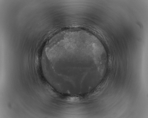 X0000113080220200909250956