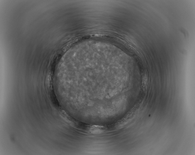X0000113080222200909250956