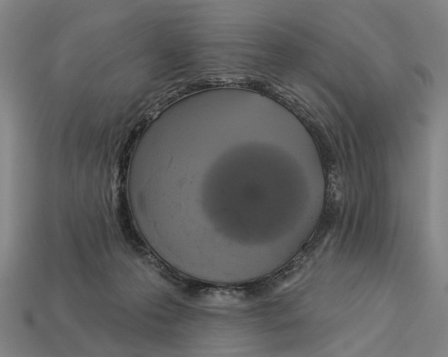X0000113080223200909250956
