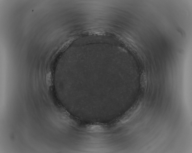 X0000113080224200909250956