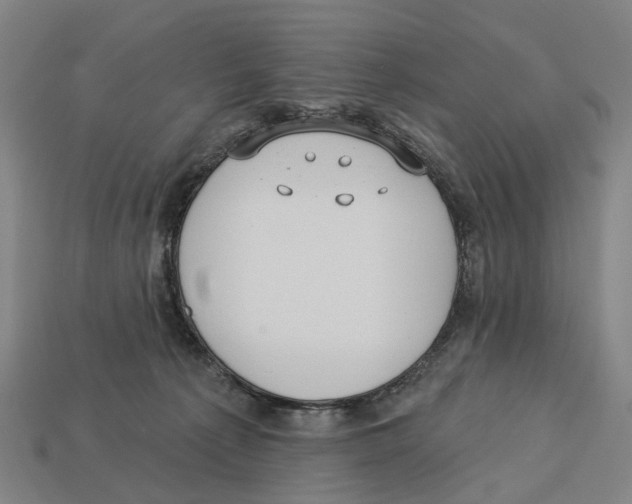 X0000113080225200909250956