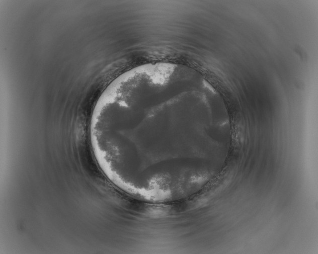 X0000113080226200909250956