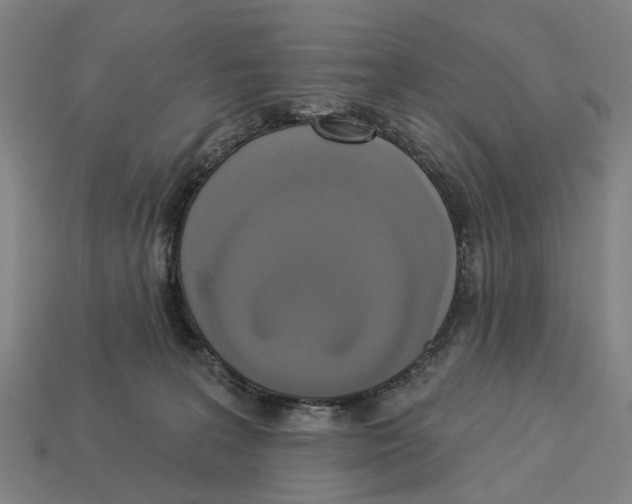 X0000113080227200909250956