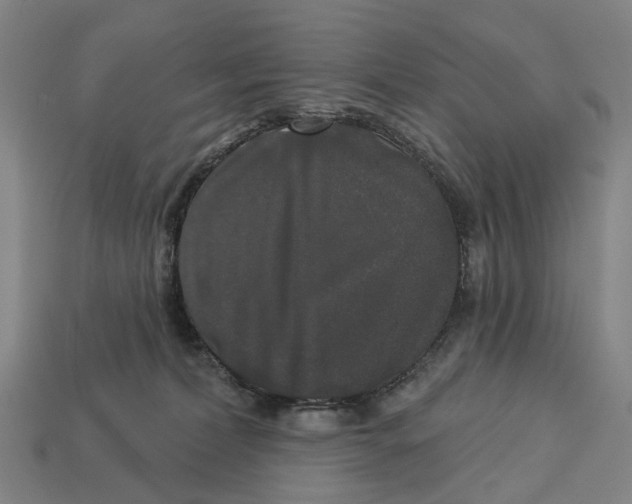 X0000113080228200909250956