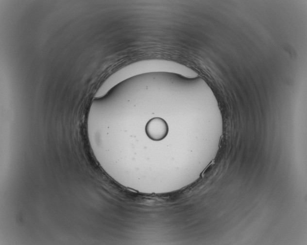 X0000113080229200909250956