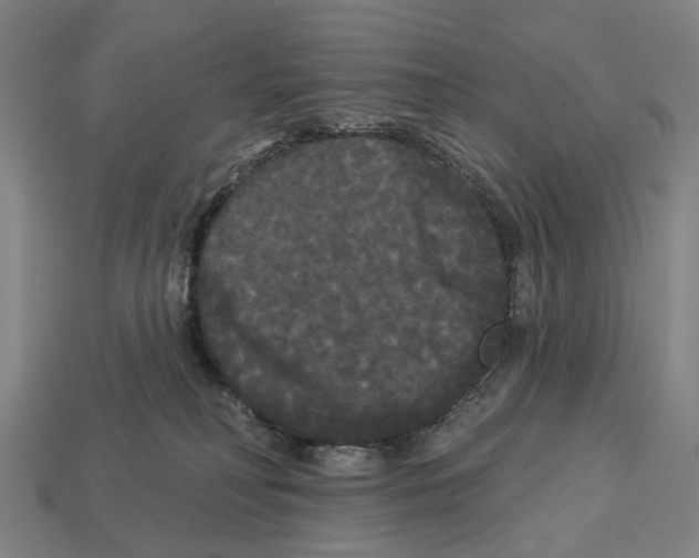 X0000113080230200909250956