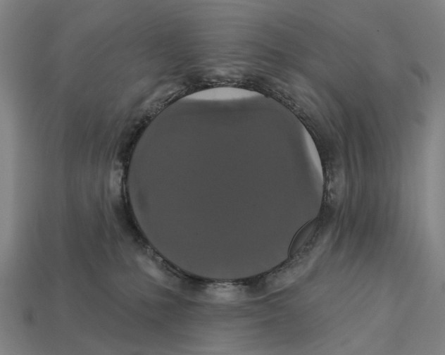 X0000113080231200909250956