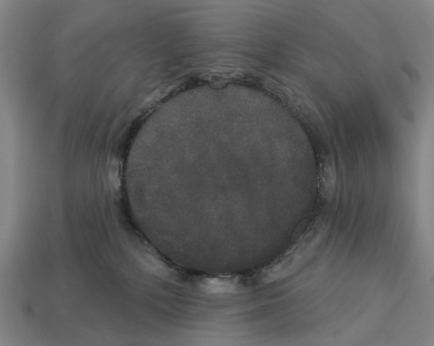 X0000113080232200909250955