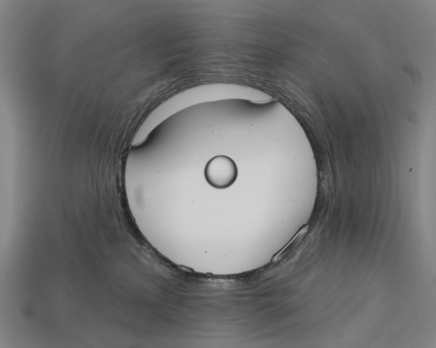X0000113080233200909250955