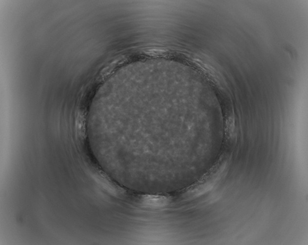X0000113080234200909250955