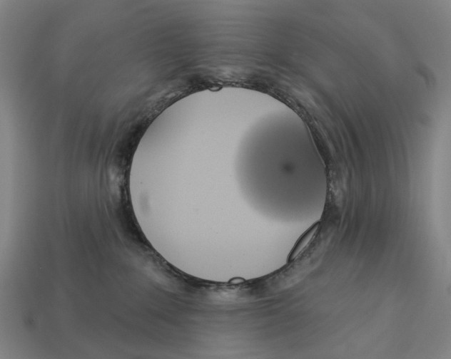 X0000113080235200909250955