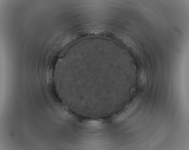 X0000113080236200909250955