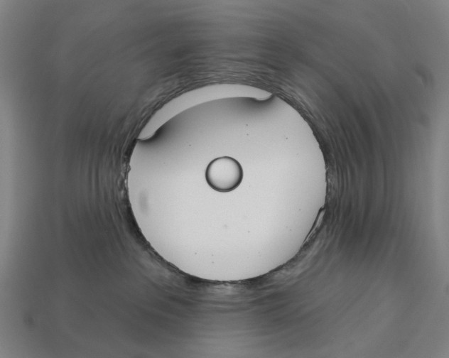 X0000113080237200909250955