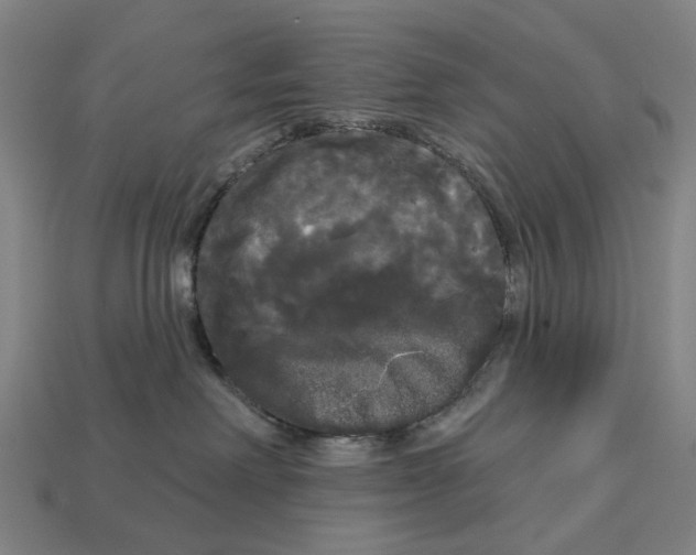 X0000113080238200909250955