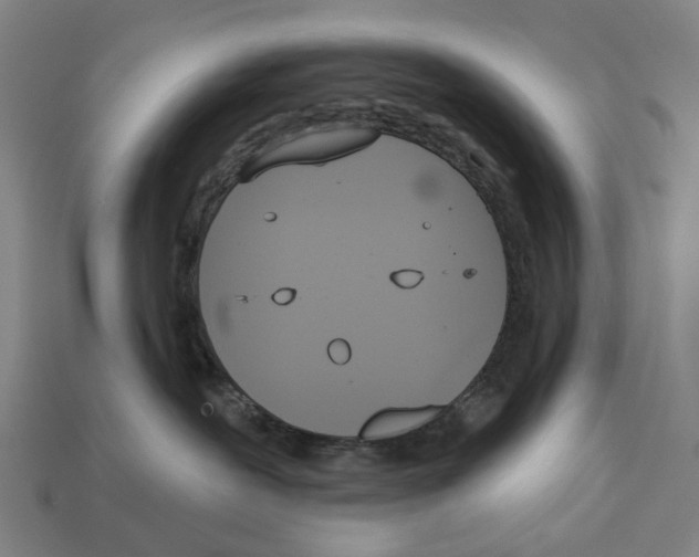 X0000113080239200909250955