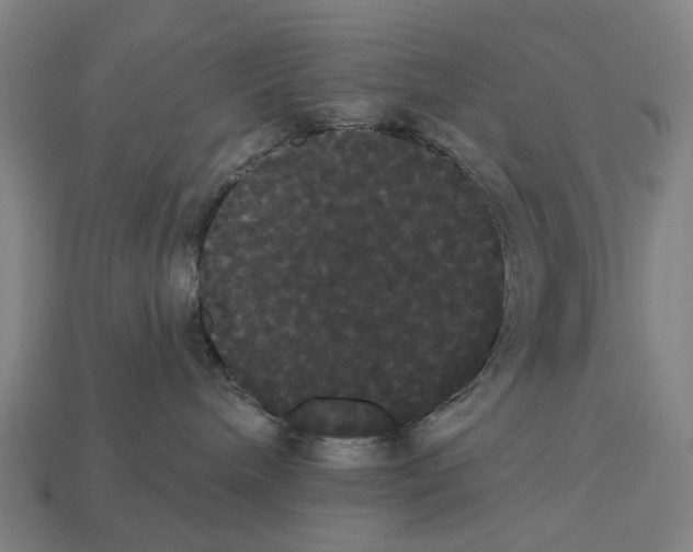 X0000113080240200909250955
