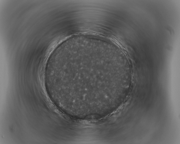 X0000113080241200909250955
