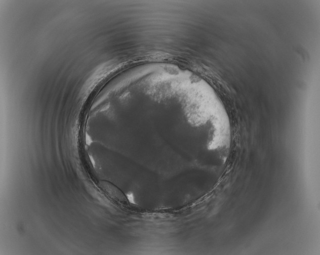 X0000113080242200909250955