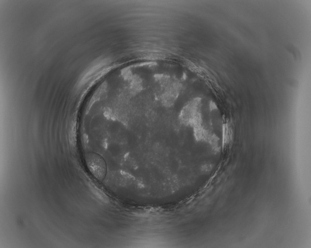 X0000113080243200909250955