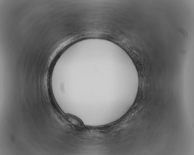 X0000113080244200909250955