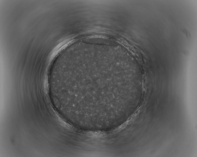 X0000113080245200909250955