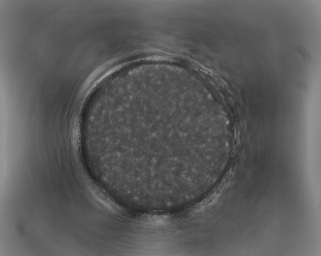X0000113080247200909250955