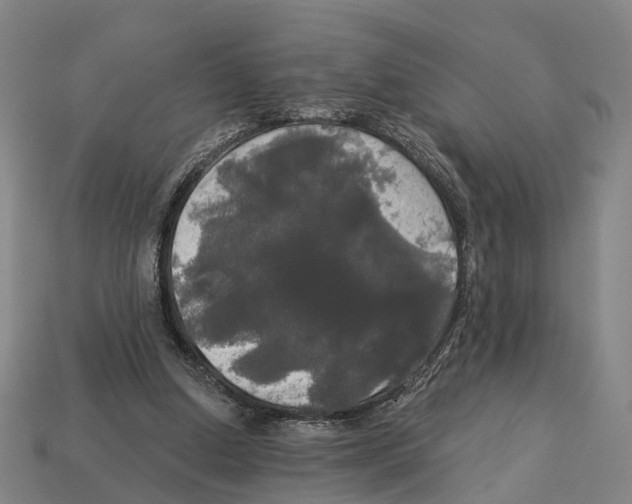 X0000113080250200909250955