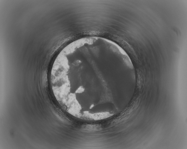 X0000113080251200909250955