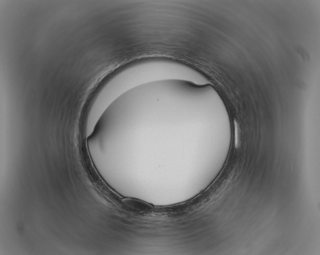 X0000113080252200909250955