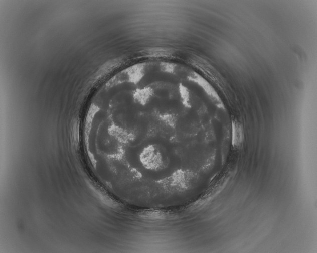 X0000113080253200909250955