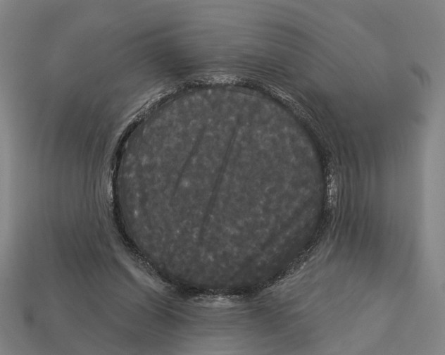 X0000113080254200909250955