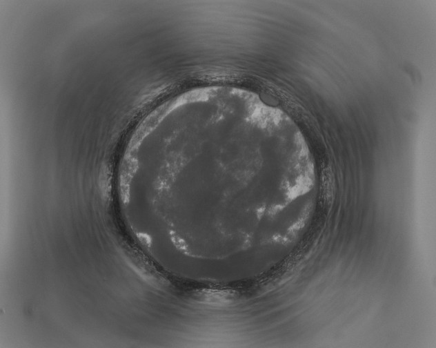 X0000113080255200909250955