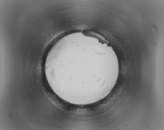X0000113080256200909250955