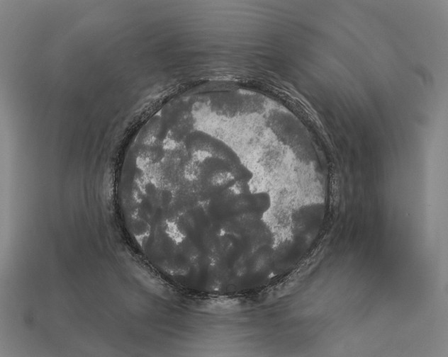 X0000113080257200909250955