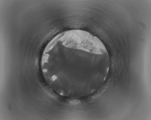 X0000113080258200909250955