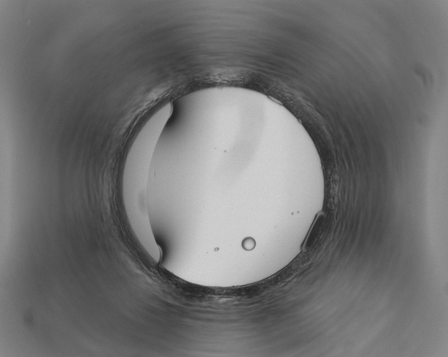 X0000113080260200909250955