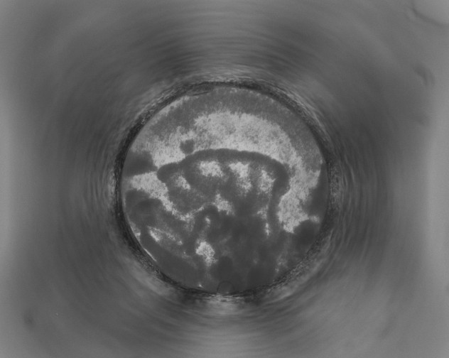 X0000113080261200909250955
