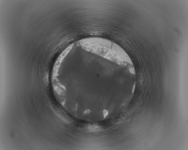 X0000113080262200909250955