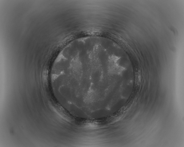 X0000113080263200909250955