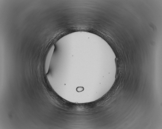 X0000113080264200909250955