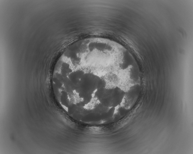 X0000113080265200909250955