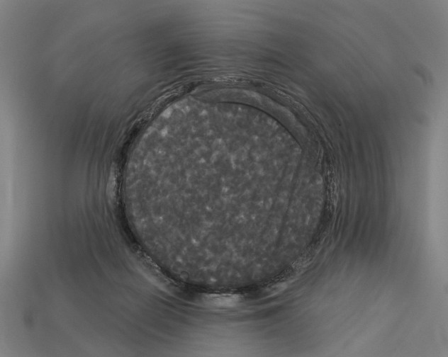X0000113080266200909250955
