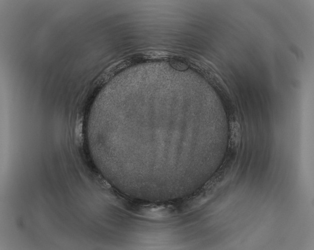 X0000113080267200909250955
