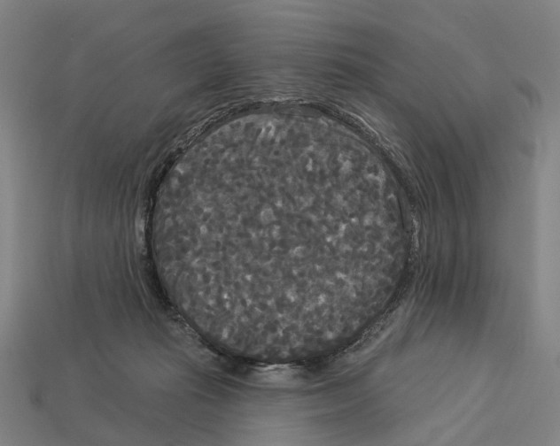 X0000113080269200909250955