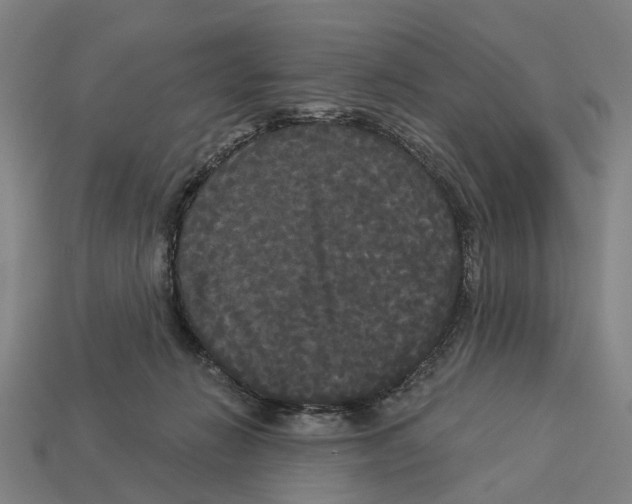 X0000113080270200909250955