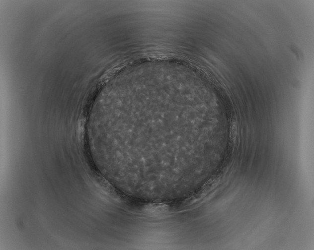 X0000113080271200909250955