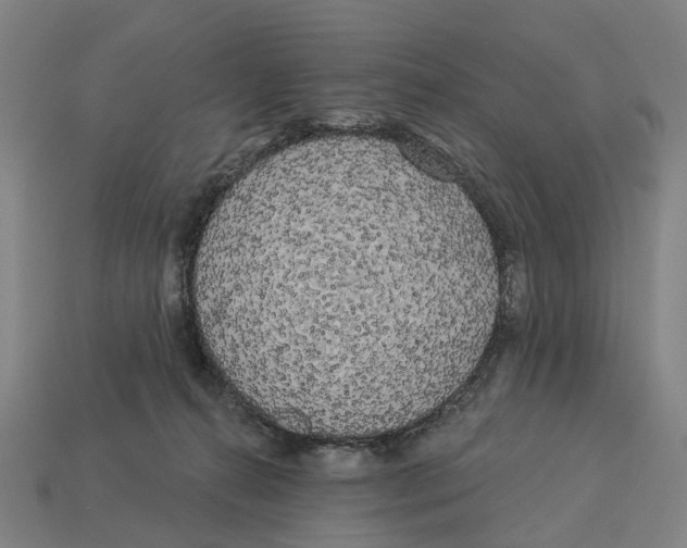 X0000113080272200909250955