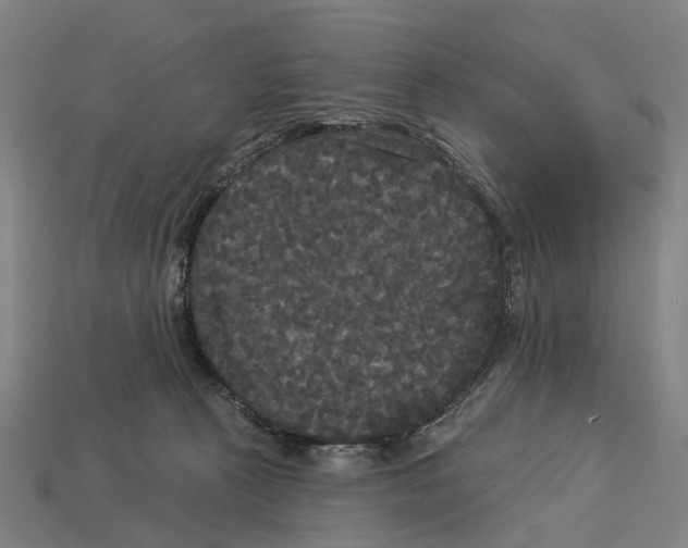 X0000113080273200909250955