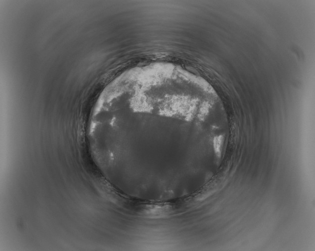 X0000113080274200909250955